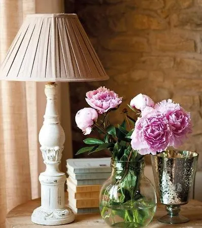 Angiolina * Nova Vas (Porec)