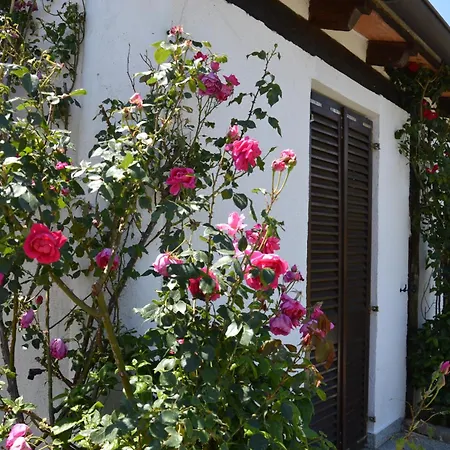 Apartman Angiolina *