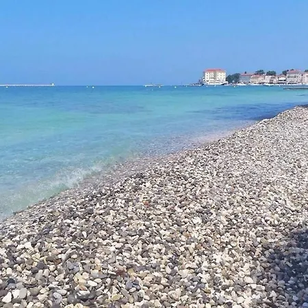 Angiolina * Nova Vas (Porec)