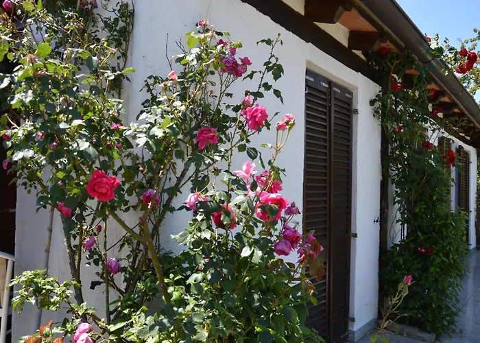 Apartman Angiolina *